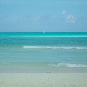 Meet your Posher, Laurence